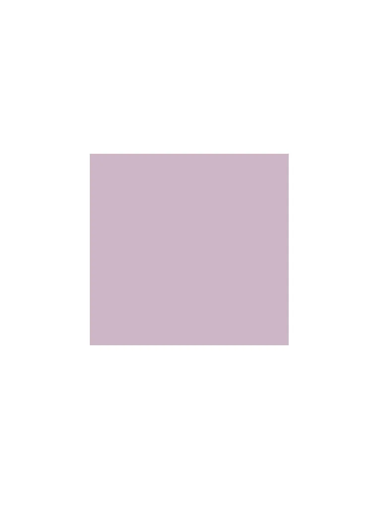 HOP Kids Lilac Embroidered Mid-Rise Denim Shorts