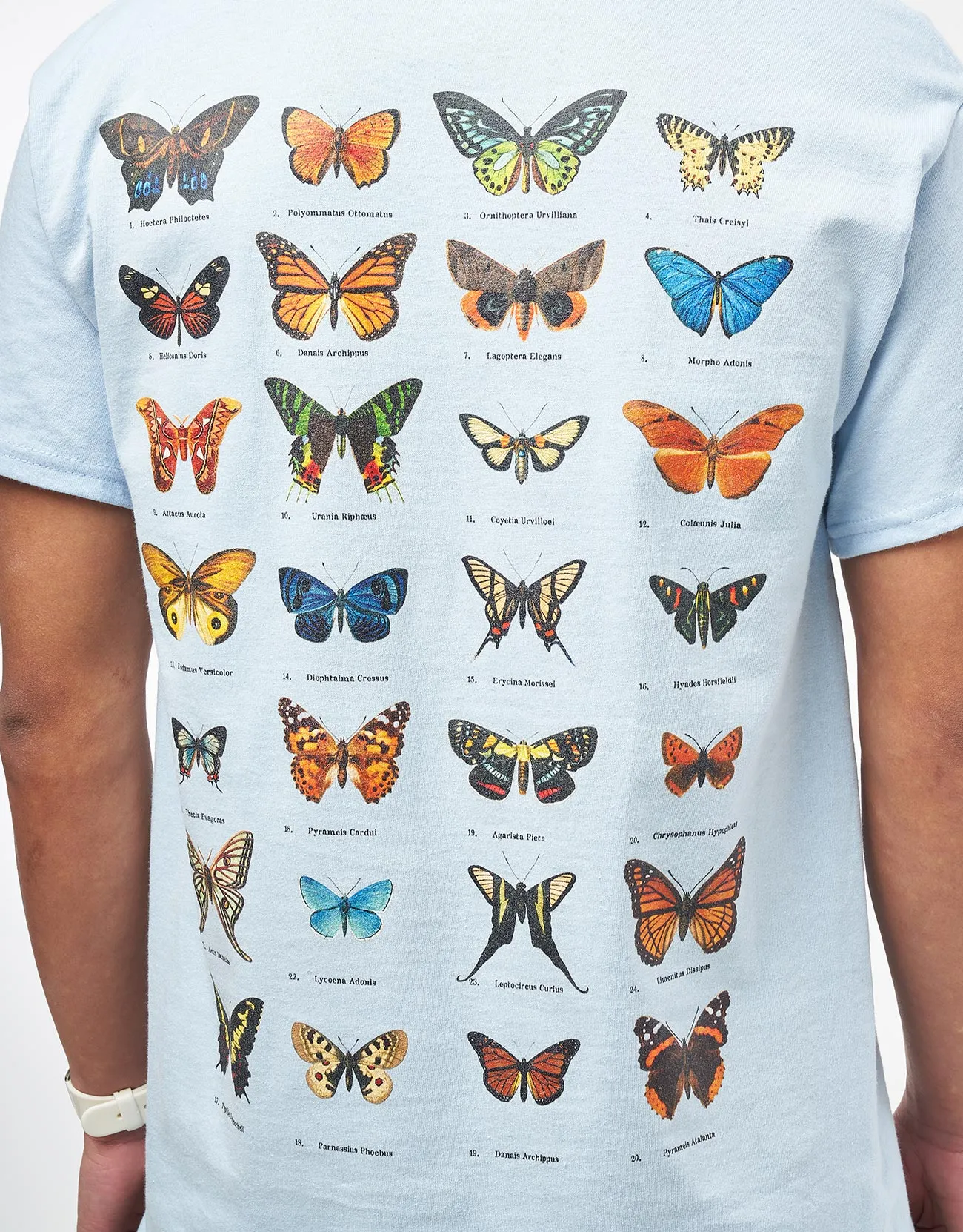 Route One Flutter T-Shirt - Light Blue