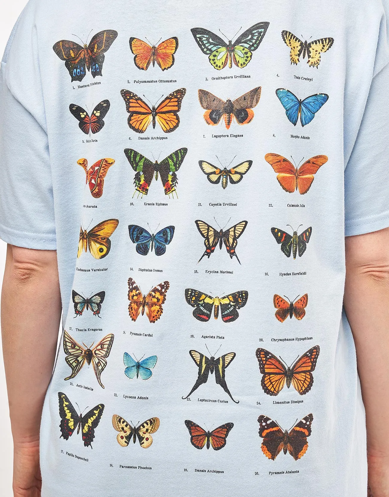 Route One Flutter T-Shirt - Light Blue